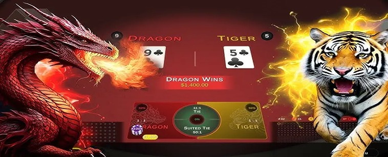 Trải Nghiệm Dragon Tiger Tại PK14: Cảm Hứng Và Chiến Thuật